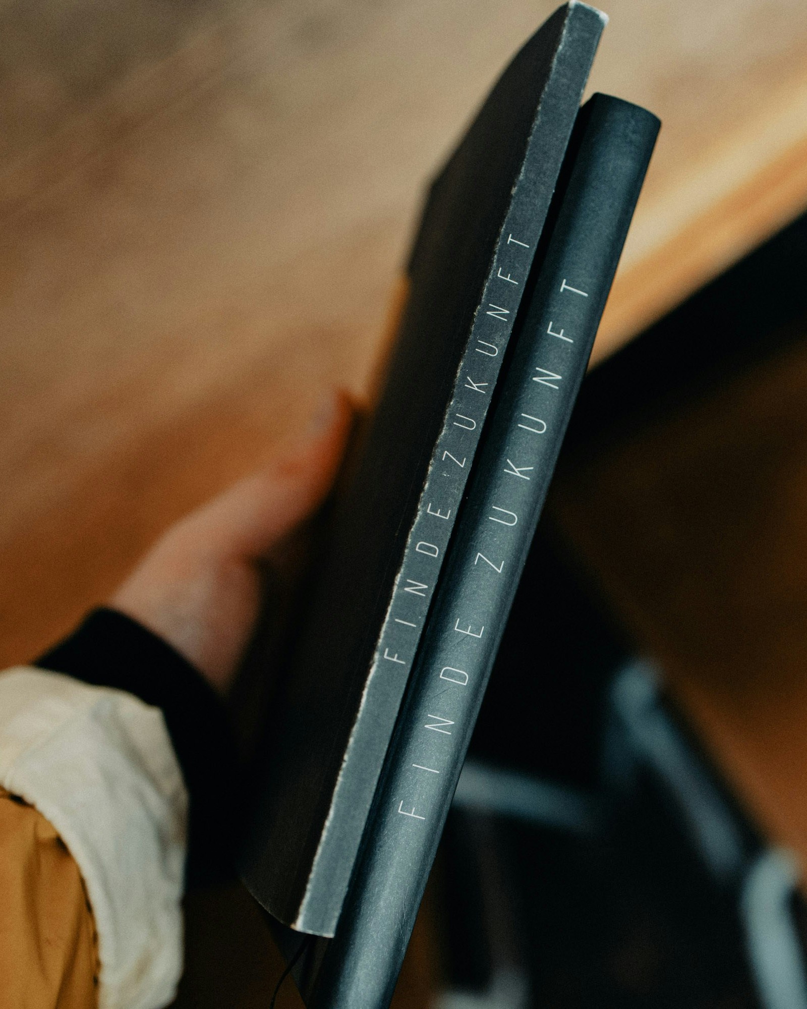 Finde Zukunft Bücher